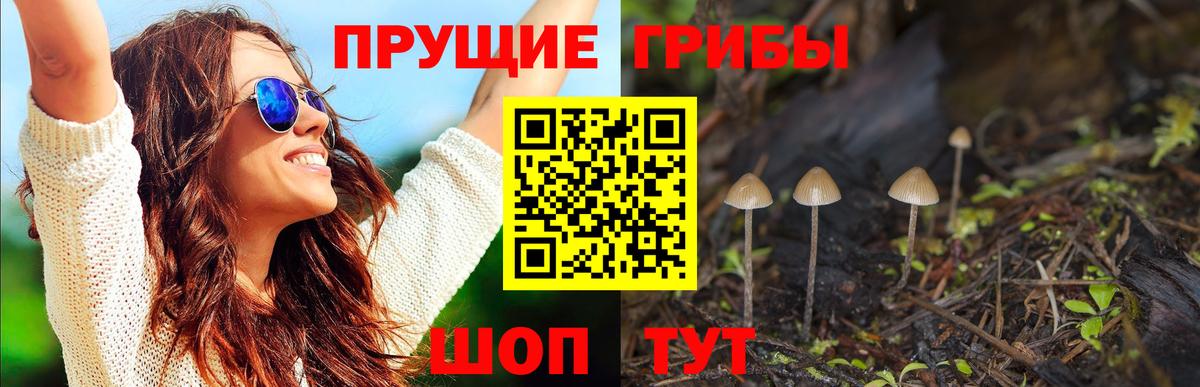 Галлюциногенные грибы Psilocybine cubensis  Вход с VPN  Тамбов 